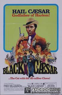 Чёрный цезарь / Black Caesar