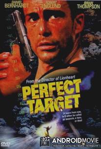 Главная мишень / Perfect Target