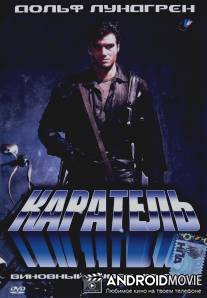 Каратель / Punisher, The