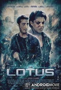 Лотус / The Lotus
