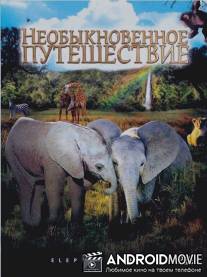 Необыкновенное путешествие: История про двух слонят / Elephant Tales