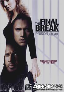 Побег из тюрьмы: Финальный побег / Prison Break: The Final Break