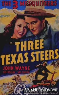 Три техасских наездника / Three Texas Steers