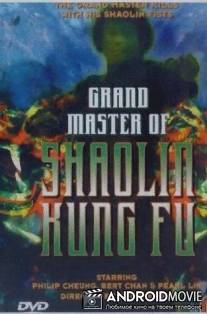 Великий магистр Шаолинь кун-фу / Da Mo shen gong