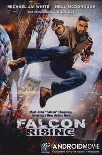 Восхождение Сокола / Falcon Rising