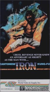 Железное кунг-Фу кантонца / Guangdong tie qiao san