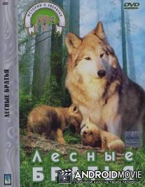Лесные братья : Волчата / Braskove