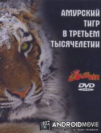 Амурский тигр в третьем тысячелетии / Amurskiy tigr v tretem tisyacheletii