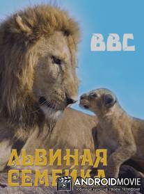 BBC: Львиная Семейка / BBC: Pride