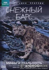BBC: Снежный барс: Мифы и реальности / Natural World: Snow Leopard - Beyond the Myth