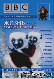 BBC: Жизнь млекопитающих / Life of Mammals, The