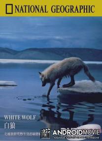 Белый волк / National Geographic: White Wolf