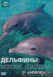 Дельфины: Морские спасатели / Saved by Dolphins