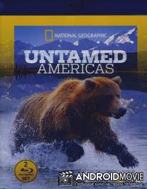 Дикая природа Америки / Untamed Americas