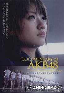 Documentary of AKB48: No Flower Without Rain