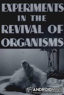 Эксперименты по оживлению организмов / Experiments in the Revival of Organisms