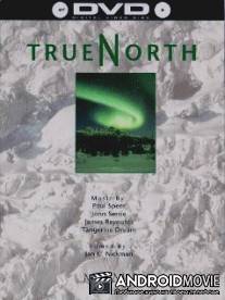 Истинный север / True North
