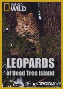 Леопарды дельты Окаванго / Leopards of Dead Tree Island