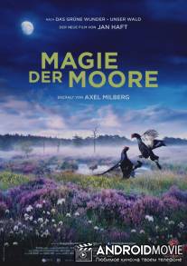 Магия болот / Magie der Moore