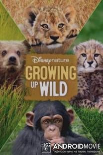 Малыши в дикой природе / Growing Up Wild
