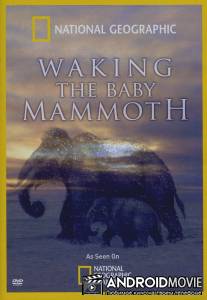 Мамонтёнок: Застывший во времени / Waking the Baby Mammoth