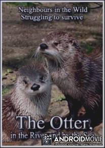 Опасные соседи. Выдра. На реке и в море / Neighbours in the Wild. Struggling to survive. The Otter, in the River and by the Sea