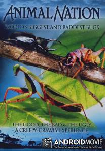 Самые большие и страшные жуки в мире / World's Biggest and Baddest Bugs