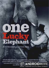 Счастливая слониха / One Lucky Elephant