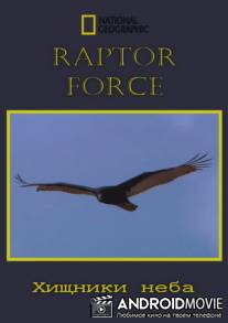 Сила хищных птиц / Raptor Force