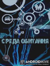 Среда обитания - Новогодние фуршеты