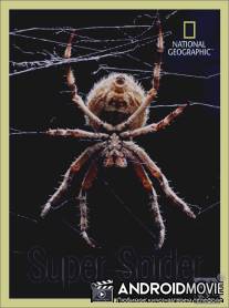 Супер паук / Super Spider