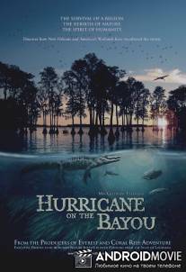 Ураган на Байу / Hurricane on the Bayou
