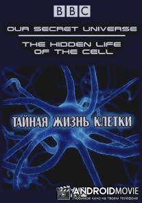 Внутренняя вселенная: Тайная жизнь клетки / Our Secret Universe: The Hidden Life of the Cell