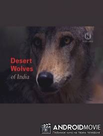 Волки индийской пустыни / Desert Wolves of India