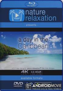 Всемирное природное наследие. День в Карибском бассейне / A Day in the Caribbean