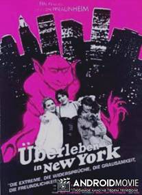 Выживание в Нью-Йорке / Uberleben in New York