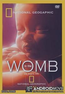 Жизнь до рождения: Близнецы / In The Womb. Twins, Triplets and Quads
