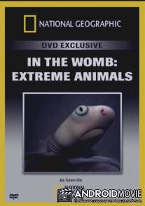 Жизнь до рождения: Экстремальные животные / In the Womb: Extreme Animals