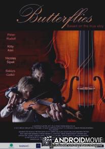 Бабочки / Pillangok