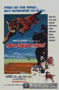 Беги, Пума, беги / Run, Cougar, Run