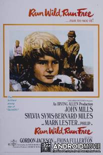 Беги свободно / Run Wild, Run Free