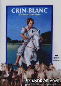 Белая грива: Дикая лошадь / Crin blanc: Le cheval sauvage