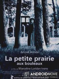 Березовый луг / La petite prairie aux bouleaux
