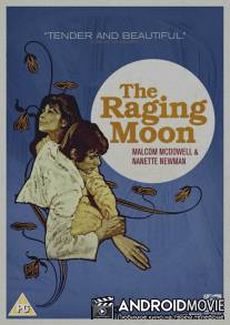 Бешеная луна / Raging Moon, The