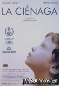 Болото / La cienaga