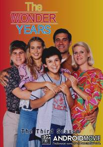 Чудесные годы / Wonder Years, The