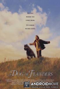 Фландрийский пес / A Dog of Flanders