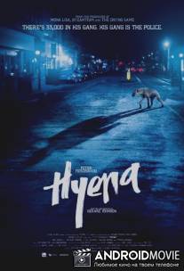 Гиена / Hyena