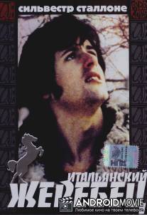 Итальянский жеребец / Party at Kitty and Stud's, The