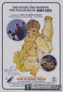 Круг чистой воды / Ring of Bright Water